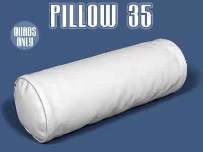 Pillow 35 3D model