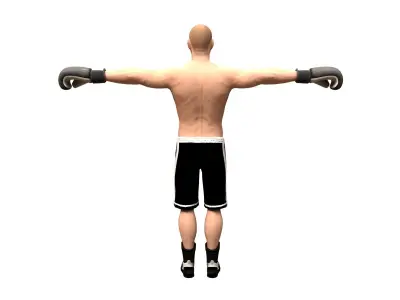 boxer rig Low-poly 3D model