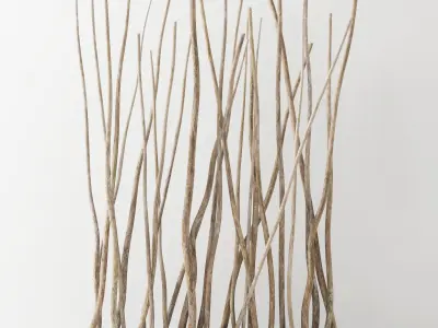 Dry branch decor n3 3D model