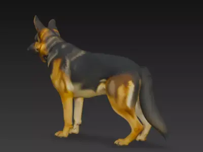 3D German Shepherd Dog Model 3D model