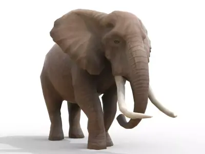 Animated African Elephant Low-poly 3D model