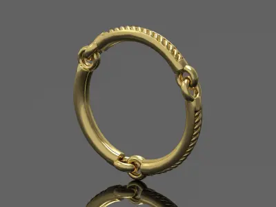 Ring Chain  3D print model