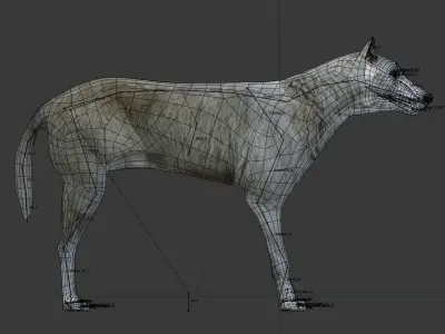 Gray wolf Low-poly 3D model purchase