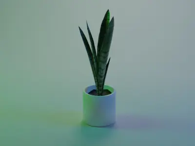 Sansevieria indoor plant PBR Ready for Unreal Engine 5 Low-poly 3D model