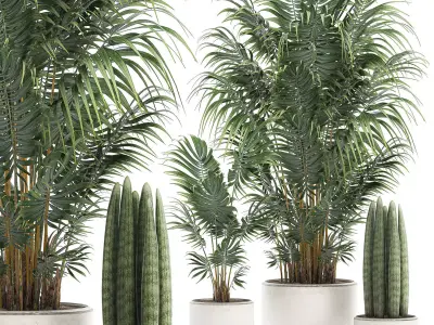 Decorative palm in a white flowerpot 520 3D model