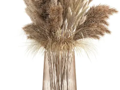 Bouquet of dried white reeds in a Vase 146 3D model