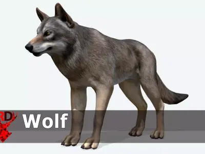 WOLF realistic Low-poly 3D model