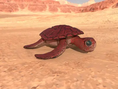 Stylized Turtle - Multiple Texture Options Low-poly 3D model