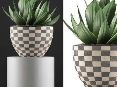 Plants Collection 118 3D model