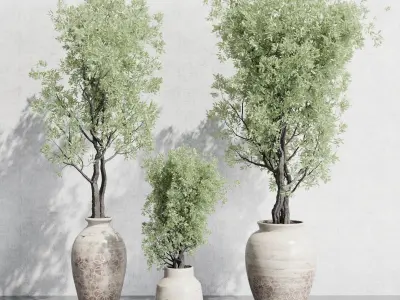 Olive tree in an old earthenware vase outdoor plant set 142 Low-poly 3D model