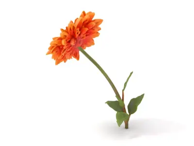 Sunny Dahlia model pack Low-poly 3D model