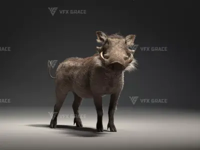 Warthog Animation  Blender 3D Model 3D model