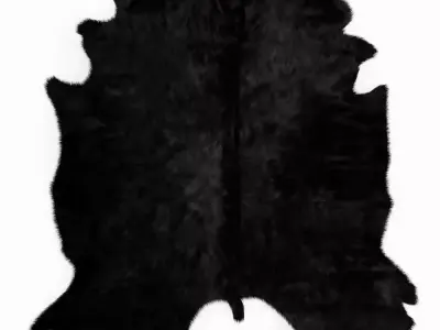 Black Cowhide Rug 3D model