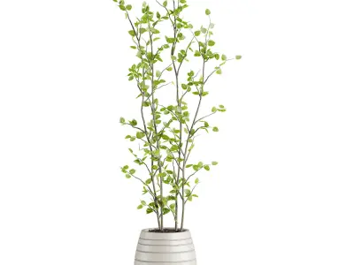 Plants Set 3D model get