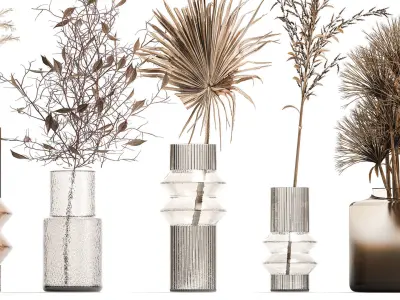 Collection of minimalist bouquets dried flowers pampas vase 323 3D model