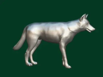 Indian Gray Wolf Low-poly 3D model