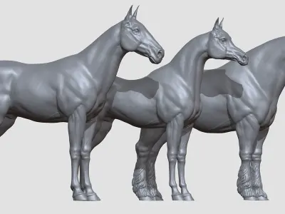 Three Horse Breeds 3D print model