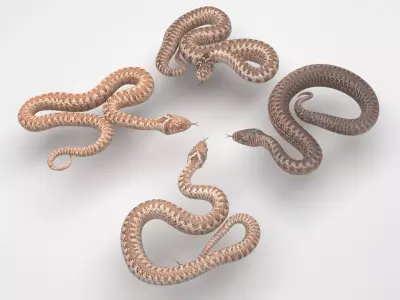 Snakes Set 3D model