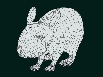 Lower Keys Marsh Rabbit Low-poly 3D model