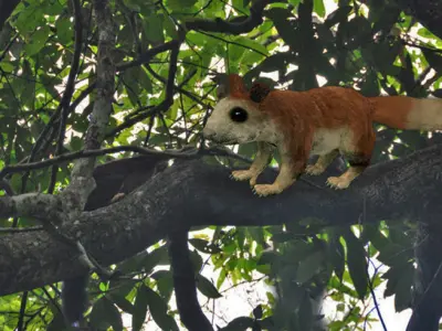 Giant Squirrel 3D model