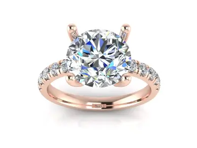 Solitaire Rig 3D print model