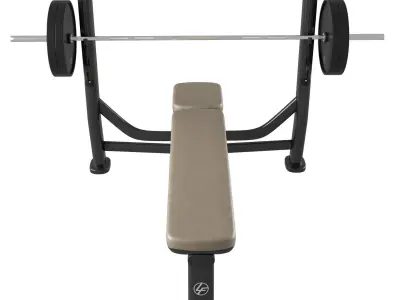 Signature Series Olympic Flat Bench 3D model