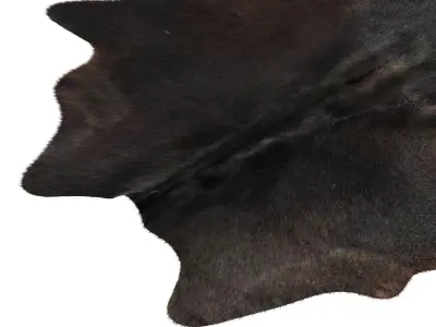 Black and White Cowhide Rug B3144 3D model