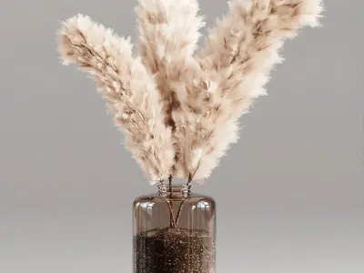 Pampas For Interior 3D model