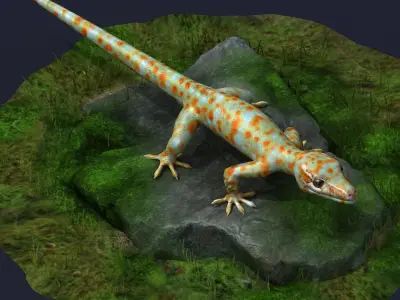 gecko animal lizard reptile stylized cartoon creature cute 3D model