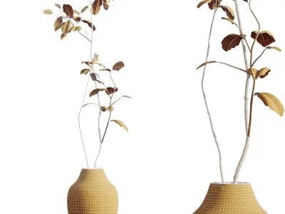 AV HousePlants Japandi Minimalism Ficus Dracaena Marginata11 3D model