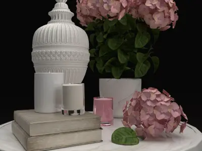 Hydrangea and candles set 3D model