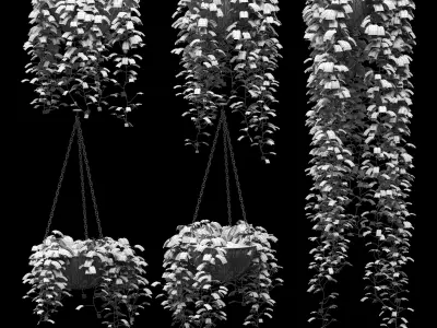 Hanging ivy in pots - 5 models 3D model