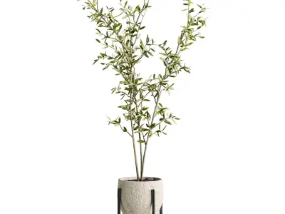Plants Set 3D model purchase