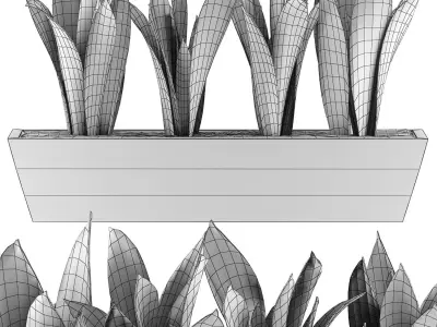 Plants Collection 47 3D model