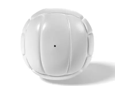 BALL VOLLEY Low-poly 3D model