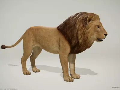 3D Lion and Lioness - Game Ready PBR Low-poly 3D model