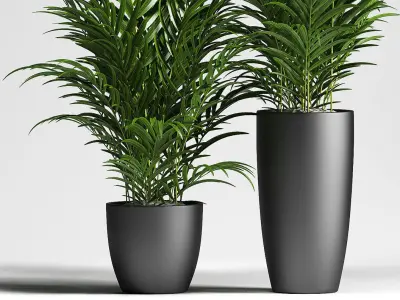 palm plants 137 3D model