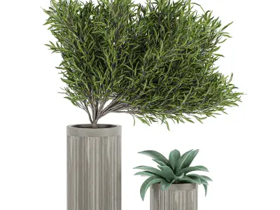 Decorative plants in a concrete flowerpots 802 3D model