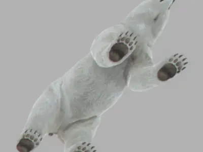 Pack - Mammals 3D model