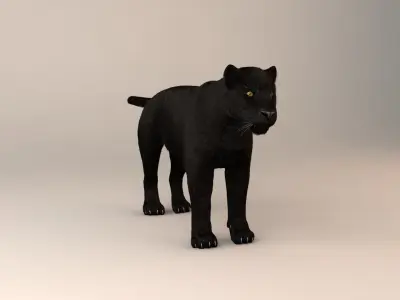 Black Leopard 3D model