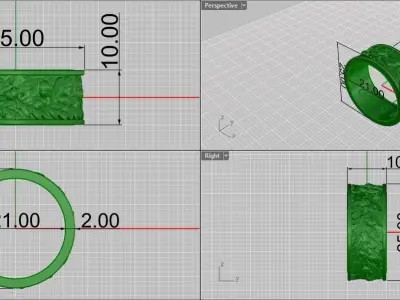 Leaf with Aesthetic Beautiful Patterns Ring 3D print model
