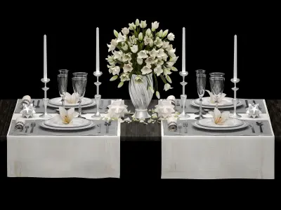 Luxury table setting 2 3D model