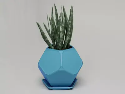 Dodecahedron pot with tray planter 3D print model