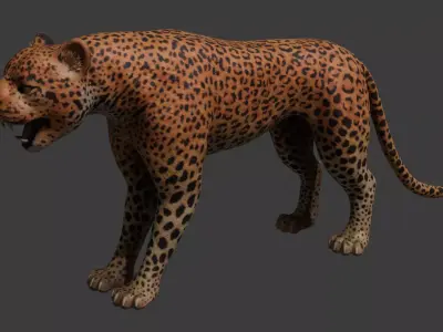 Leopard Rigged Optimized and Game Ready High Quality Mesh Low-poly 3D model