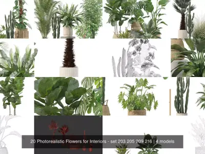 20 Photorealistic Flowers for Interiors - set 203 205 209 216 3D Model Collection