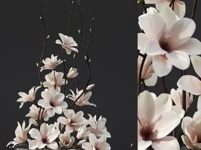 Magnolia arrangement 3D model