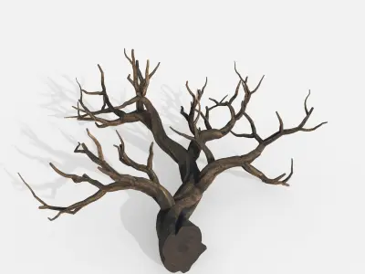 Aquarium Snag V21 3D model