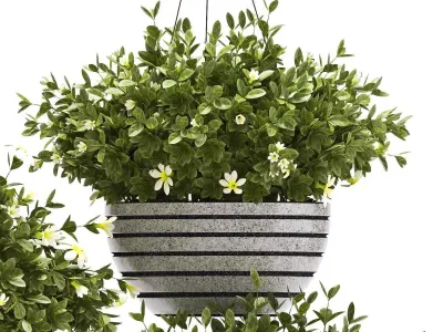 plants set 68 3D model