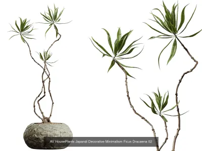 AV 25 Different SETS Of Japandi Minimalism Ficus 3D Model  3D Model Collection