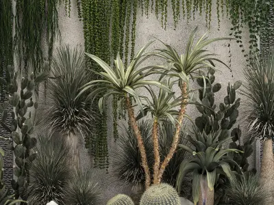 Collection Of Tropical Desert Plants From Cactus 3D model